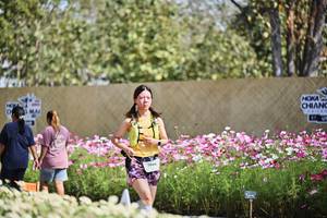 BIB: 
                            <button type="button" onclick="openModal(27805055)" class="btn btn-primary btn-sm float-right btn-popup" data-toggle="modal" data-target=".modal-high-quality">
                        <i class="fas fa-shopping-cart"></i> Add to Cart
                    </button>
                                            <button type="button" onclick="isThisMe(27805055, true)" class="btn btn-success btn-sm float-right btn-popup btn-isme hidden" data-toggle="tooltip" data-placement="bottom" title="นี่คือรูปของคุณใช่ไหม คลิกที่นี่เพื่อเอาเข้าอัลบั้ม">
                        <i class="fas fa-plus"></i> Add to album
                    </button>
                    <button type="button" onclick="isThisMe(27805055, false)" class="btn btn-warning btn-sm float-right btn-popup btn-isnotme hidden">
                        <i class="fas fa-ban"></i> Remove from album
                    </button>